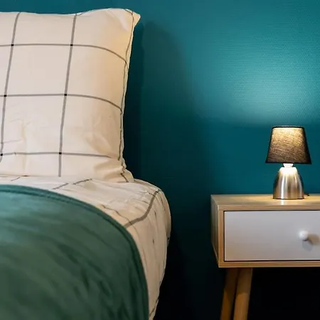 Amadéo Vue Panoramique Cathédrale * Clermont-Ferrand