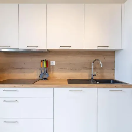 Appartamento Amadéo Vue Panoramique Cathédrale